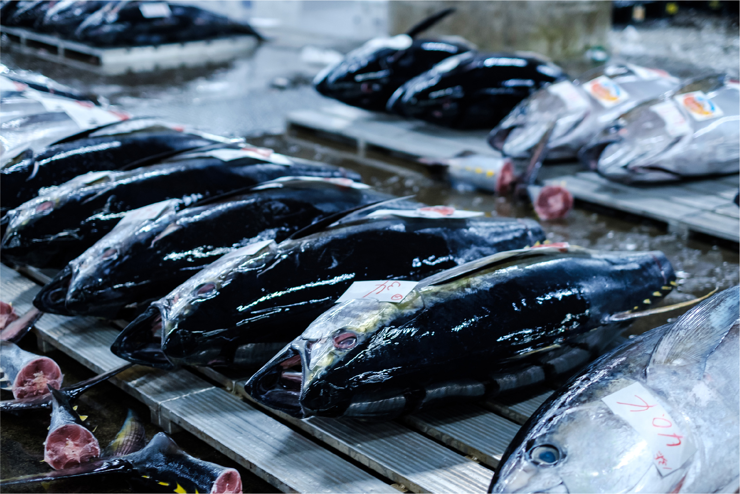 株式会社 丸将｜熊本