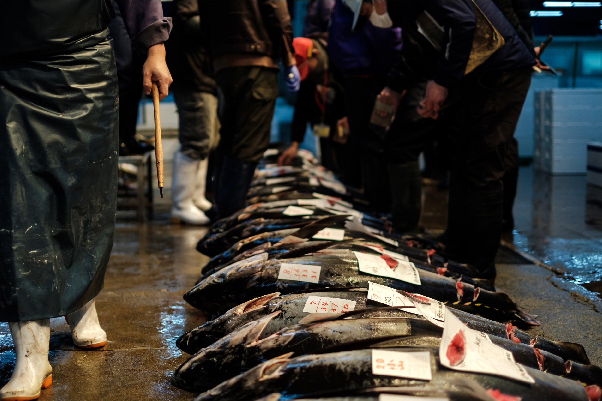 株式会社 丸将｜熊本